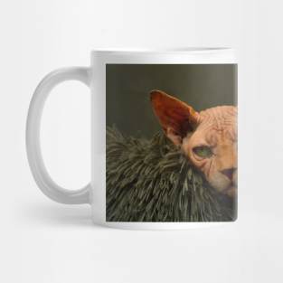 Sphynx cat Mug